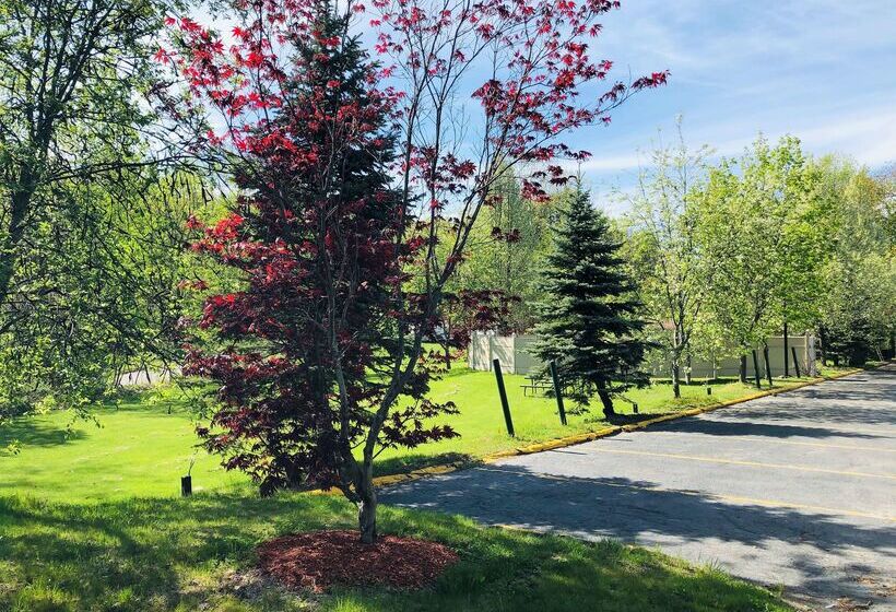 هتل Best Western West Lebanon Hanover