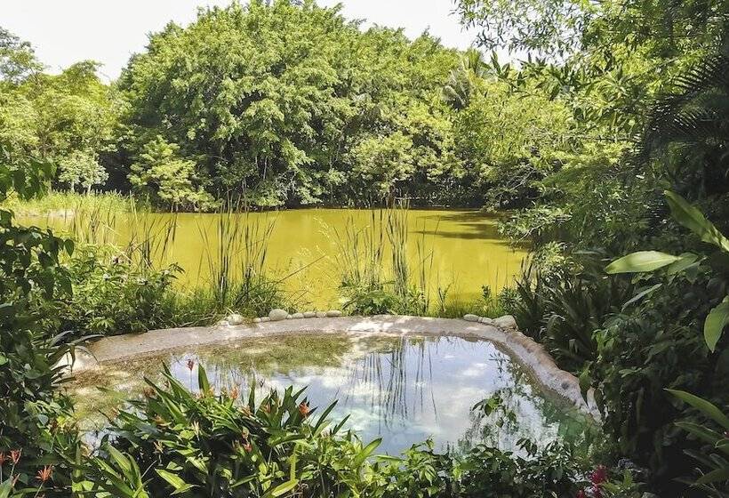 酒店 Boutique Quinta Chanabnal