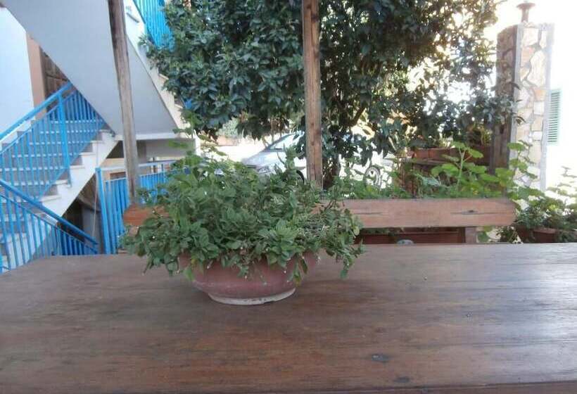 酒店 Busalacchi B&b