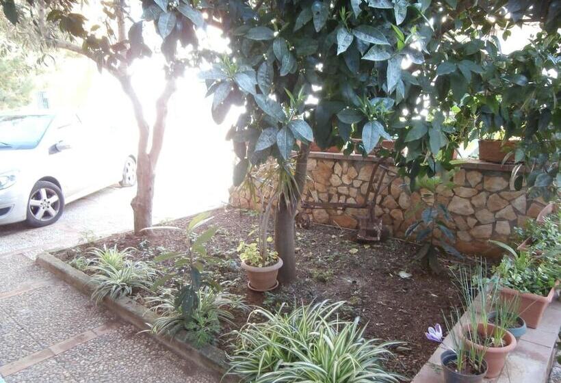 酒店 Busalacchi B&b