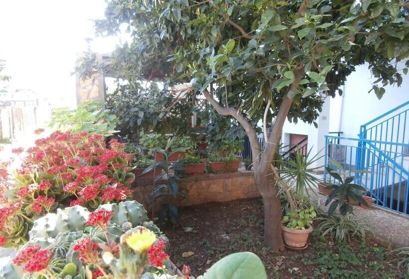 酒店 Busalacchi B&b