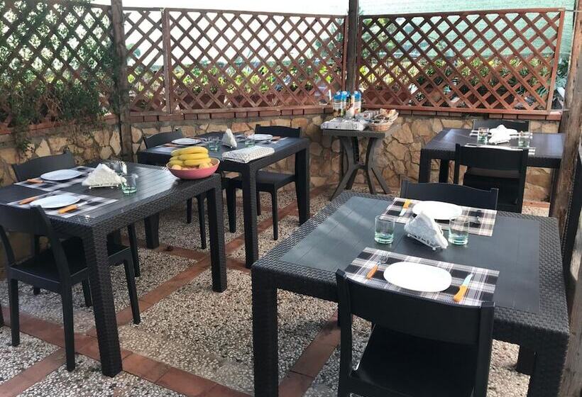 酒店 Busalacchi B&b