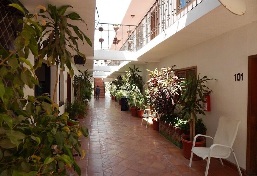 هتل Cabo Cush