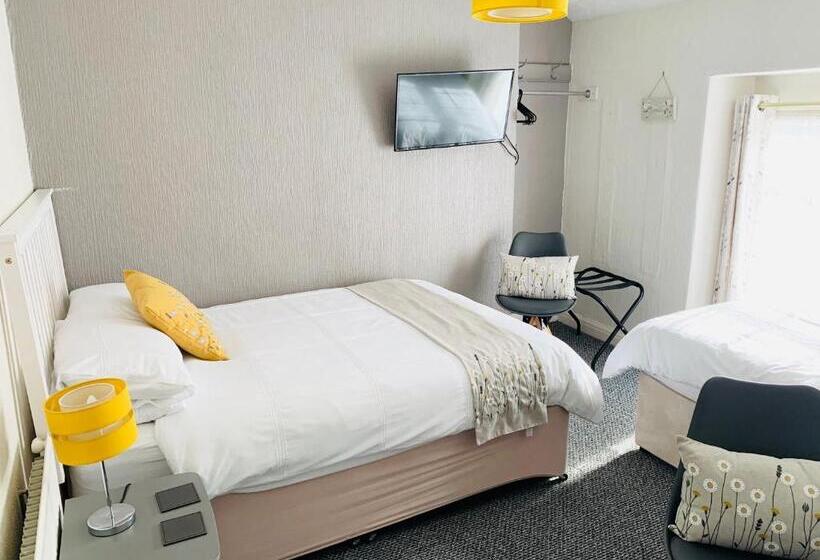 酒店 Cambrian House