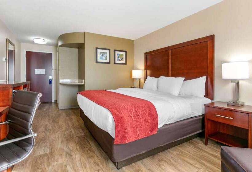 فندق Comfort Inn & Suites Van Buren   Fort Smith