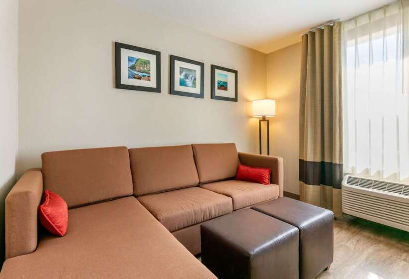 فندق Comfort Inn & Suites Van Buren   Fort Smith