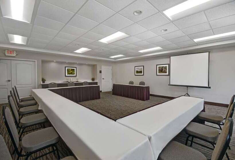 فندق Comfort Inn & Suites