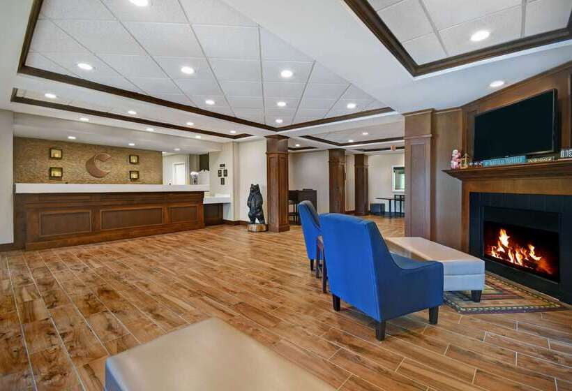 فندق Comfort Inn & Suites