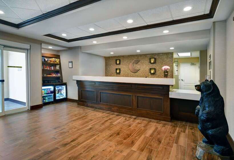 فندق Comfort Inn & Suites