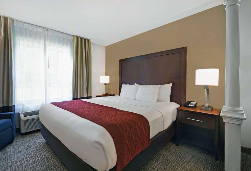 فندق Comfort Inn & Suites
