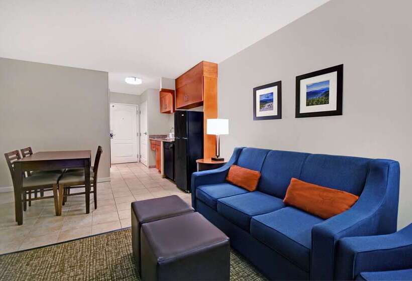 فندق Comfort Inn & Suites