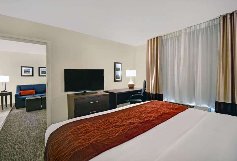 فندق Comfort Inn & Suites
