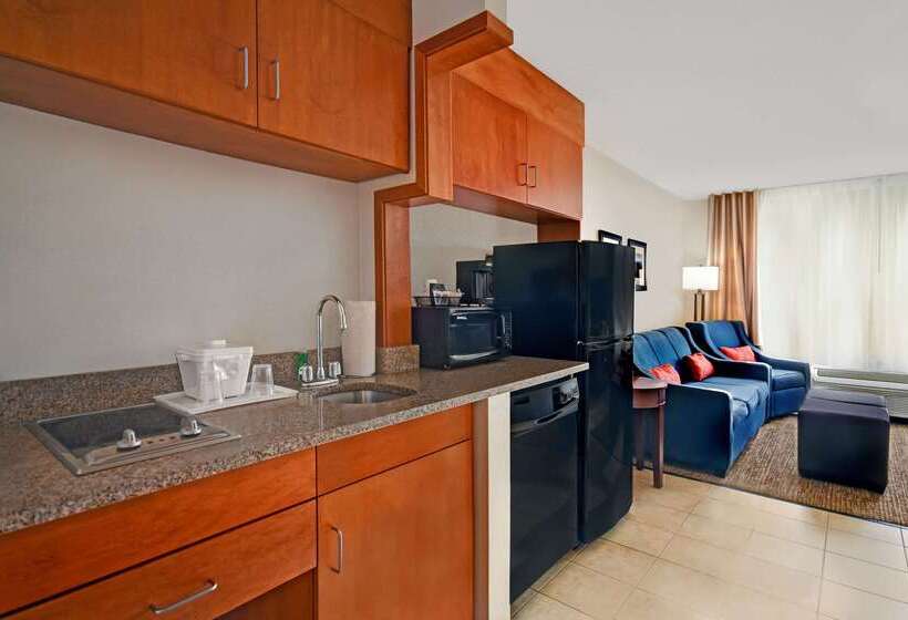 فندق Comfort Inn & Suites