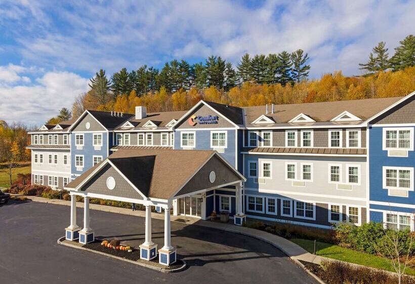 فندق Comfort Inn & Suites