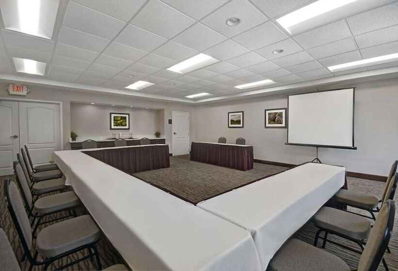 فندق Comfort Inn & Suites