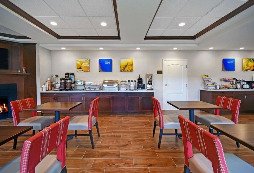 فندق Comfort Inn & Suites