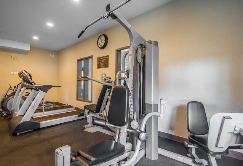 בית מלון כפרי Comfort Inn & Suites