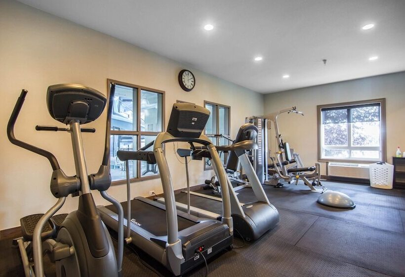 בית מלון כפרי Comfort Inn & Suites