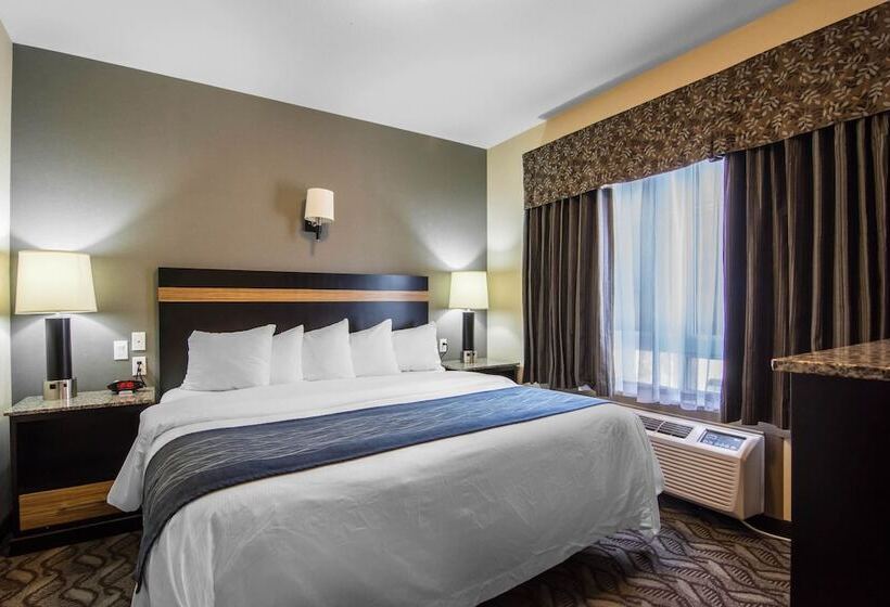 בית מלון כפרי Comfort Inn & Suites