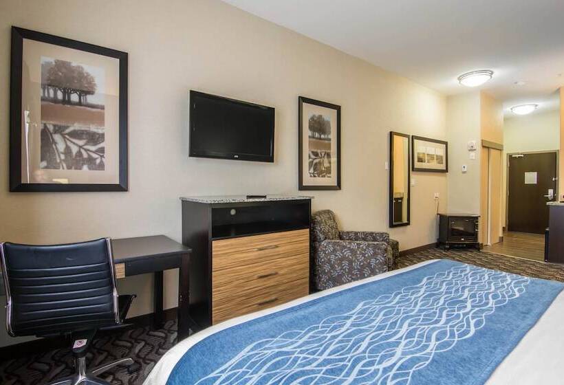 בית מלון כפרי Comfort Inn & Suites