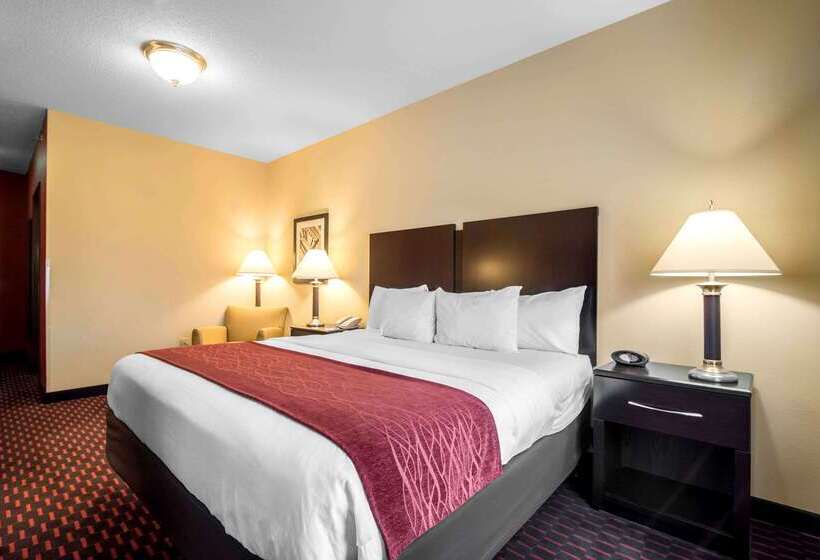 ホテル Comfort Inn & Suites