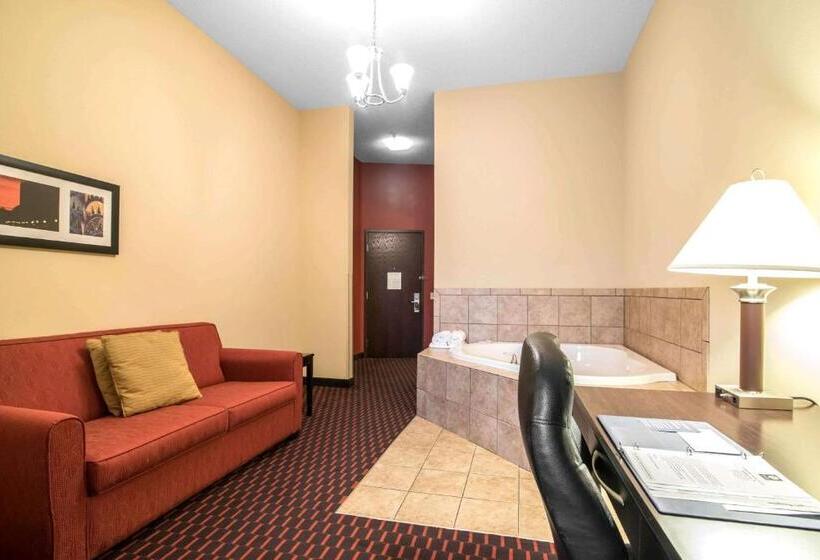ホテル Comfort Inn & Suites