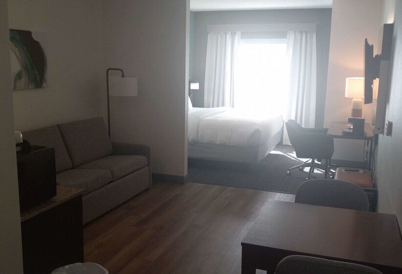 ホテル Comfort Inn & Suites