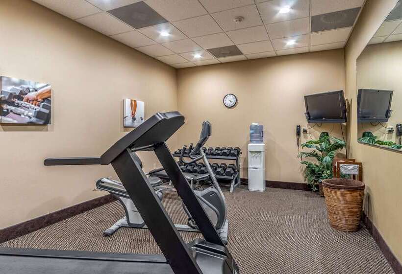 فندق Comfort Inn & Suites Tuscumbiamuscle Shoals