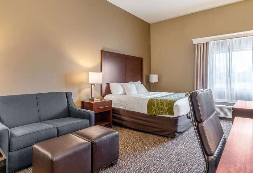 בית מלון כפרי Comfort Inn & Suites Tuscumbiamuscle Shoals