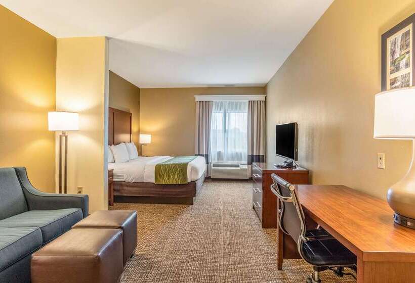 בית מלון כפרי Comfort Inn & Suites Tuscumbiamuscle Shoals