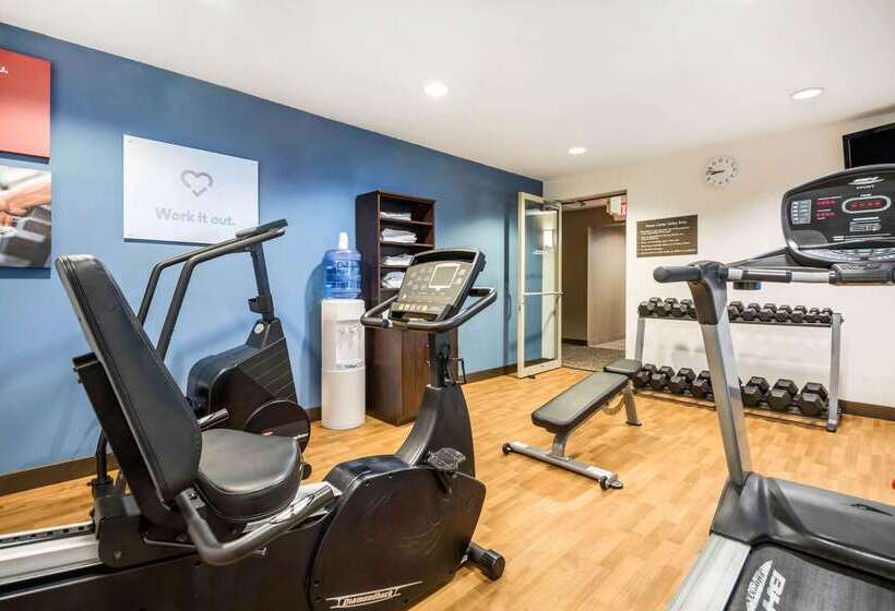 فندق Comfort Suites At Par 4 Resort