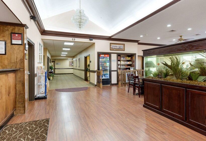 ホテル Comfort Suites Lake Jackson Clute