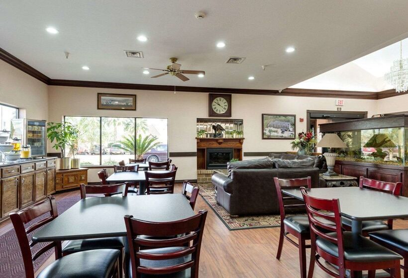 ホテル Comfort Suites Lake Jackson Clute