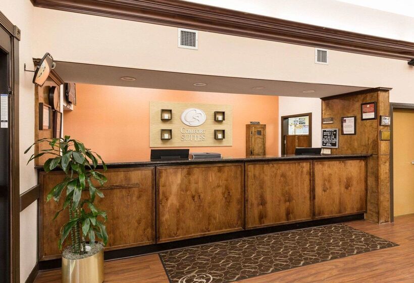 ホテル Comfort Suites Lake Jackson Clute