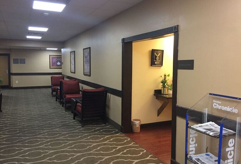 ホテル Comfort Suites Lake Jackson Clute