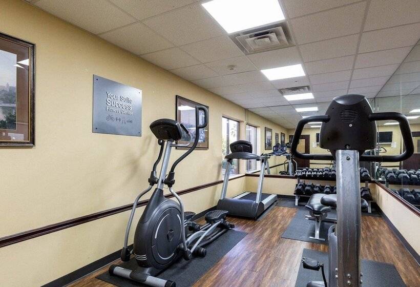 ホテル Comfort Suites Lake Jackson Clute