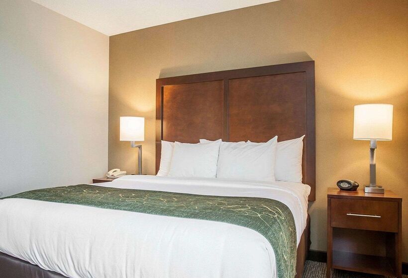 فندق Comfort Suites West Warwick  Providence