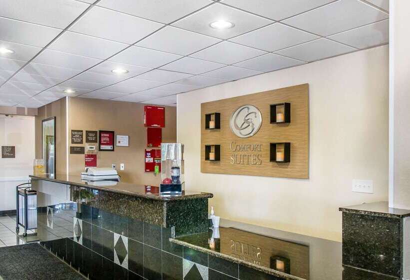 호텔 Comfort Suites