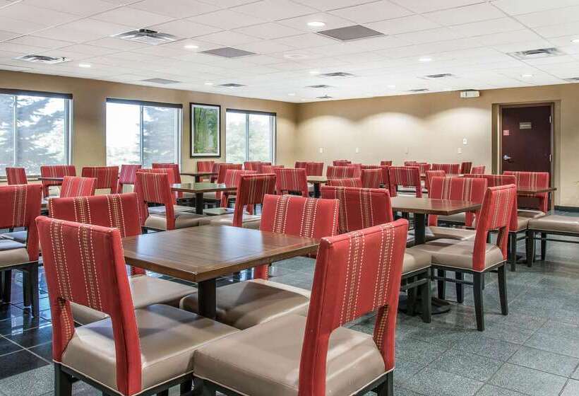 호텔 Comfort Suites