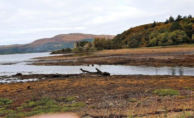 בית מלון כפרי Craigieburn Guest House