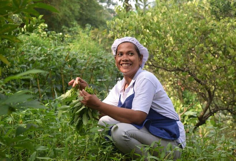 ホテル Deli River And Restaurant Omlandia