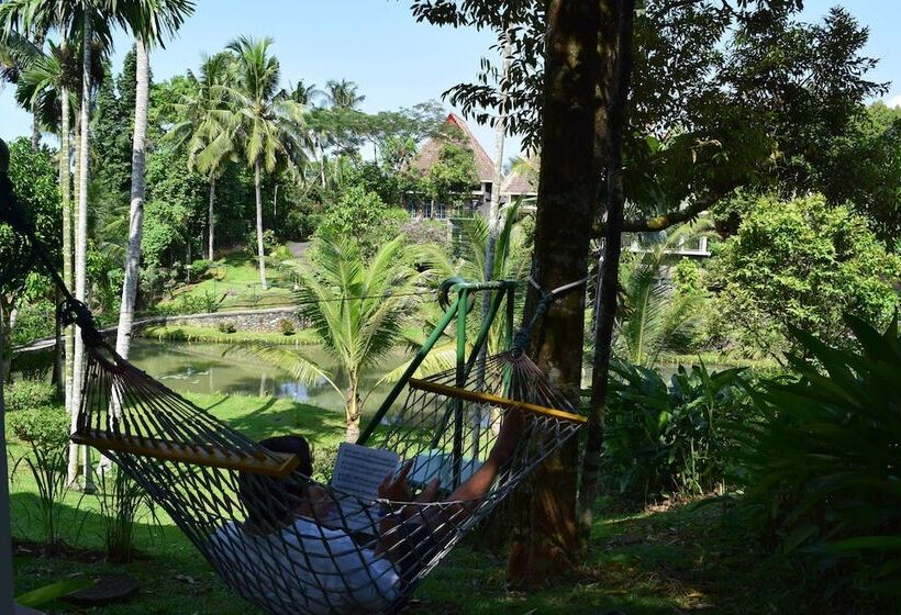 ホテル Deli River And Restaurant Omlandia