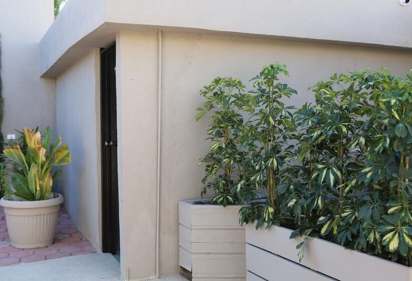 酒店 Donjuan By Melida