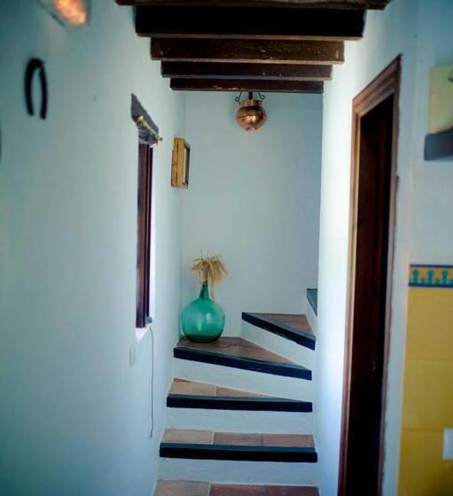 Отель Enrique Calvillo