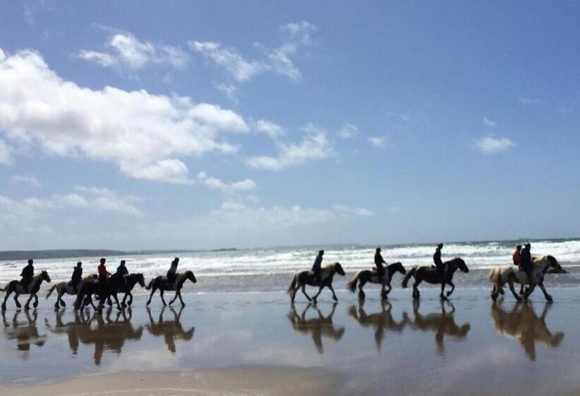 酒店 Gumfreston Guest House