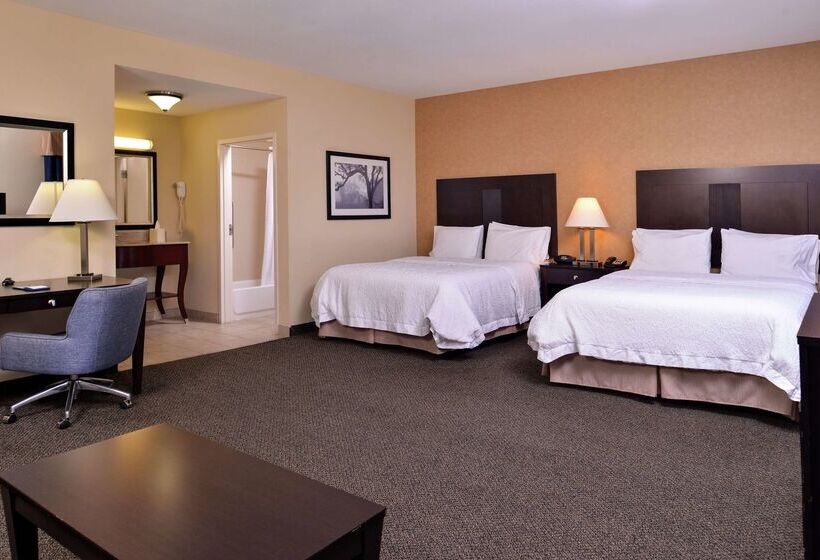 فندق Hampton Inn & Suites Woodward