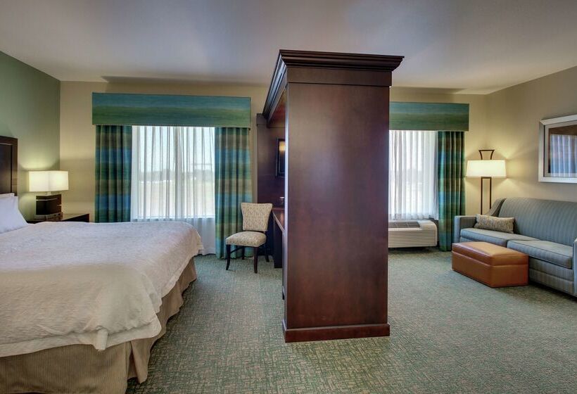 호텔 Hampton Inn Vernon