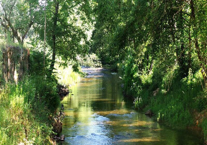 酒店 Hd | Duecitania Design