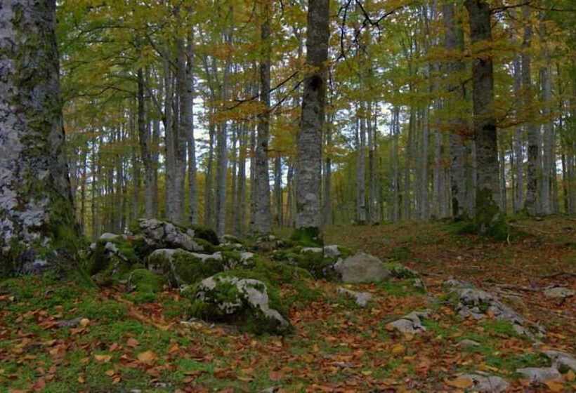 هتل Hostal Rural Elosta