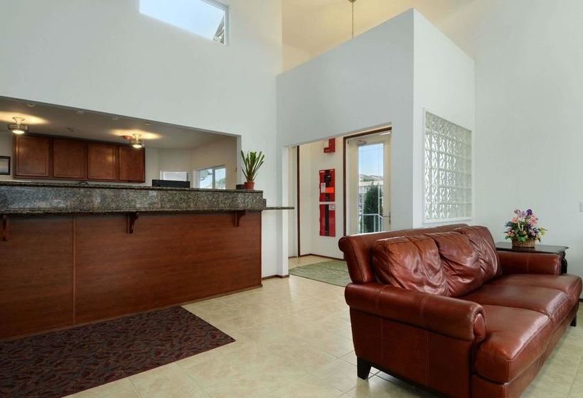 酒店 Knights Inn Sea Tac Airport